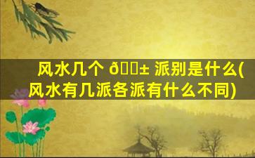 风水几个 🐱 派别是什么(风水有几派各派有什么不同)
